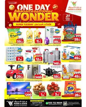 One day Wonder flyer cover